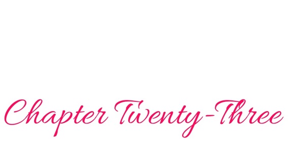 Chapter 23