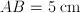 AB = 5 \;\mathrm{cm}