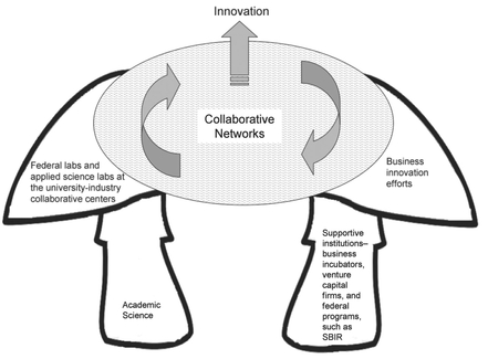 Figure 1.1 Evolution of the Innovation System