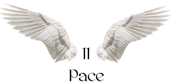 Chapter 12 heading - Pace