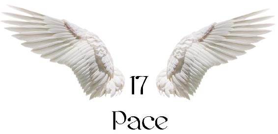 Chapter 17 header - Pace