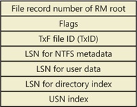 $TXF_DATA attribute