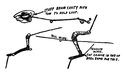 Fig. 16.