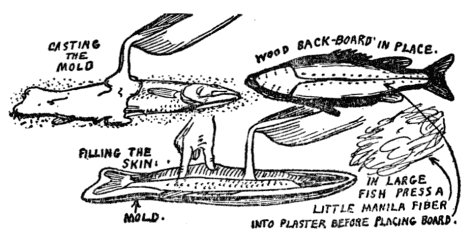 Fig. 21.