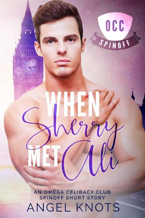 When Sherry Met Ali cover