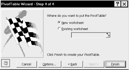 Step 5 in the PivotTable wizard