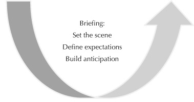 Figure 10 The briefing phase