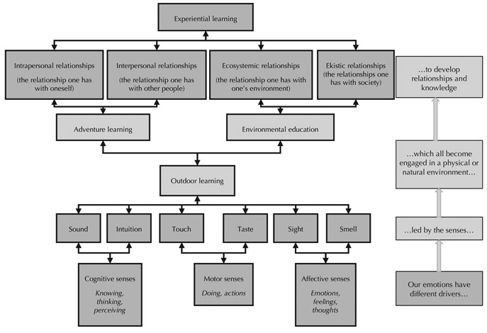 Figure 2 Our emotive drivers of learning