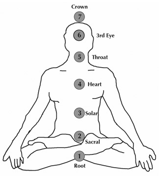 Figure 4 The ‘chakra’ system