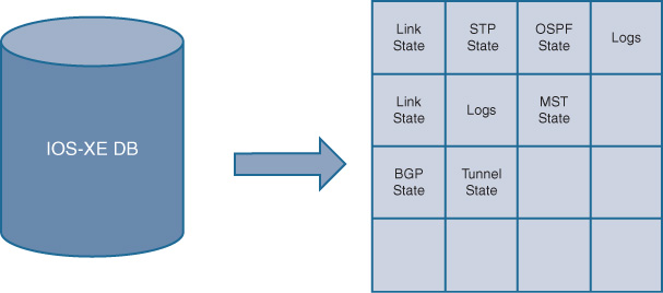 An illustration depicts IOX XE Database.