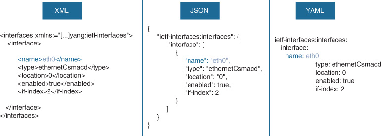 Three most common encoding types in network programmability are shown. 