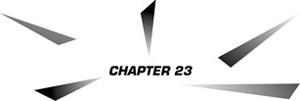 CHAPTER 23