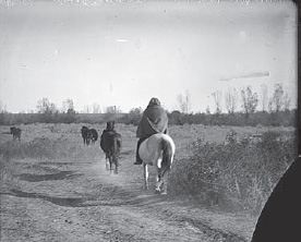 Richard Throssel, The Rustler, ca. 1911, (Richard Throssel Collection, American Heritage Center, University of Wyoming)