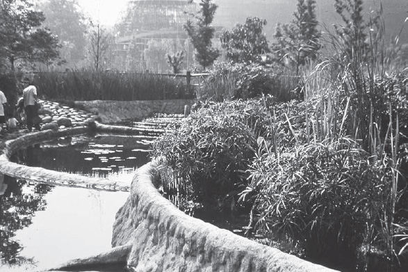 Living Water Garden, Chengdu, China, 1998 (Betsy Damon)