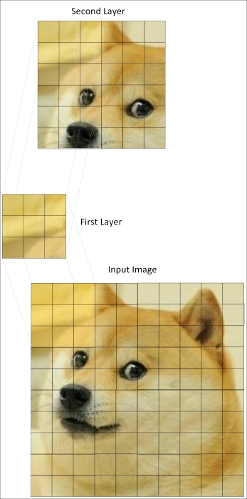 Understanding the convnet topology