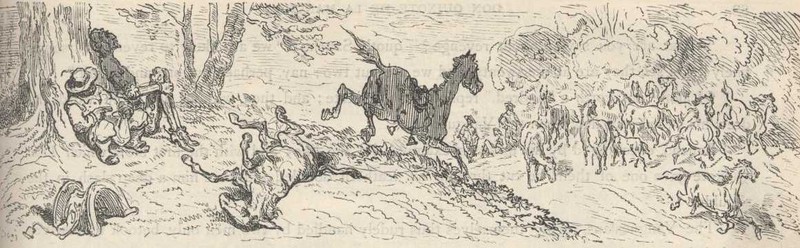 c15a.jpg (81K)