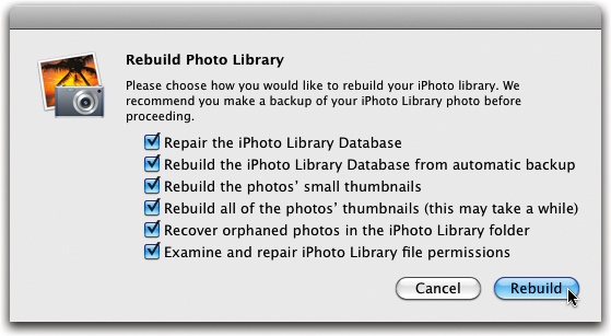 These maintenance procedures solve all kinds of iPhoto library corruptions. Sometimes you’ll be instructed to use only one of the checkboxes to save time. If you’re really desperate, turn on all six.