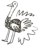 Illustration of ostrich.