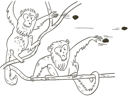 Angry monkeys throwing poop missiles