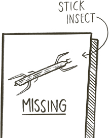 Missing stick insect sign