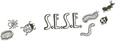 S.E.S.E in capital letters with illustrations of insects