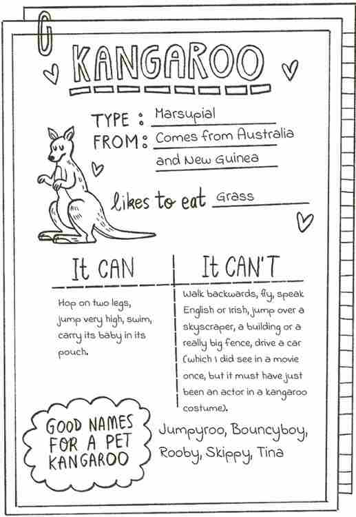 Kangaroo fact sheet with illustration