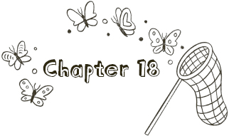 Chapter 18