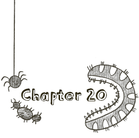 Chapter 20