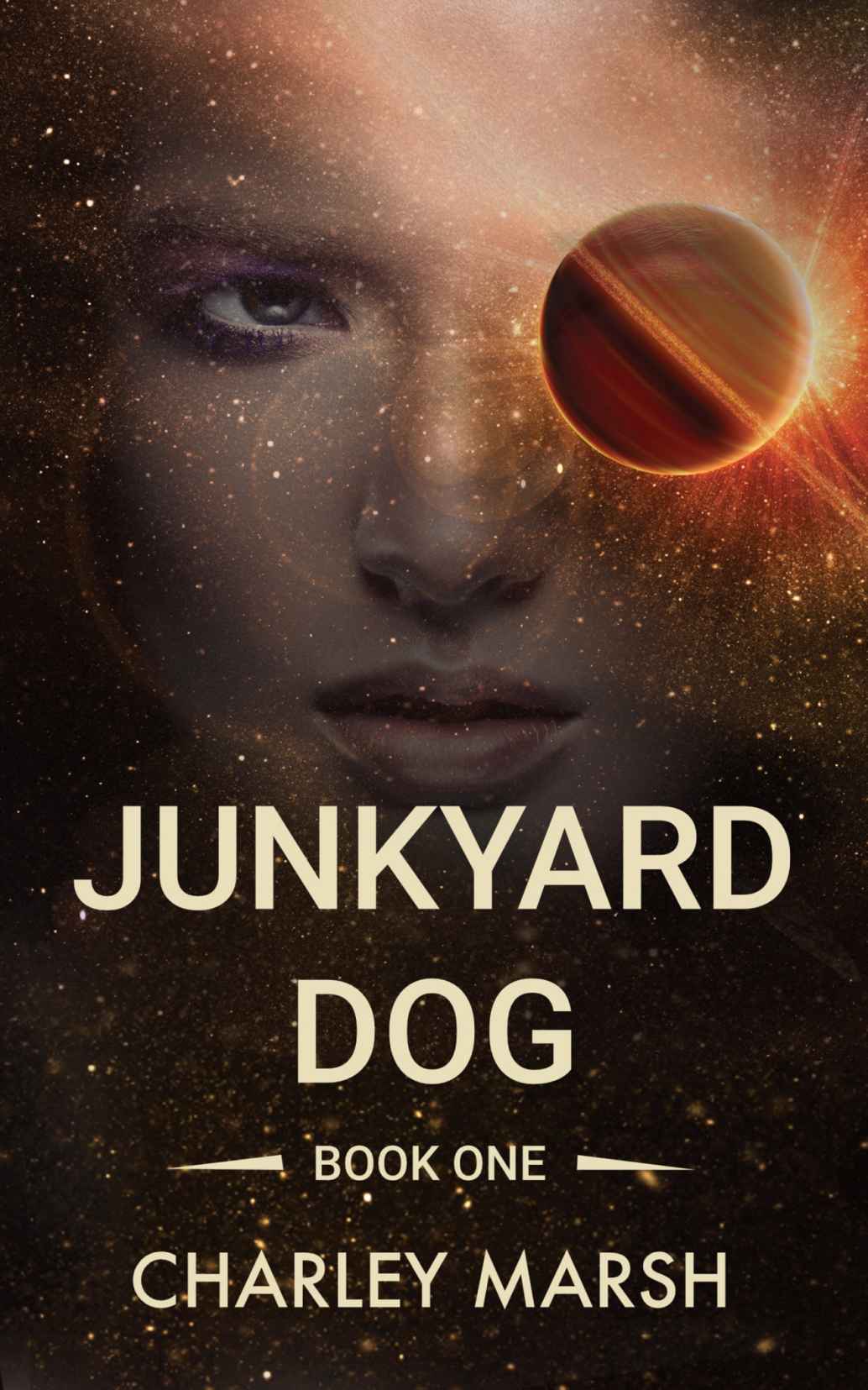 Junkyard Dog