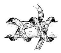 Drawing of Rolling Hitch knot