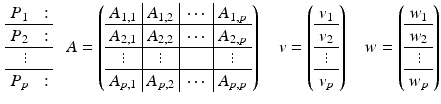 $$\begin{aligned} \begin{array}{ll} P_1 &{} :\\ \hline P_2 &{} :\\ \hline ~~~\vdots &{} \\ \hline P_p &{} : \end{array} ~~~ A = \left( \begin{array}{c|c|c|c} A_{1,1} &{} A_{1,2} &{} \cdots &{} A_{1,p} \\ \hline A_{2,1} &{} A_{2,2} &{} \cdots &{} A_{2,p} \\ \hline \vdots &{} \vdots &{} &{} \vdots \\ \hline A_{p,1}&{}A_{p,2}&{} \cdots &{} A_{p,p} \end{array} \right) ~~~~ v = \left( \begin{array}{c} v_{1} \\ \hline v_{2} \\ \hline \vdots \\ \hline v_{p} \end{array} \right) ~~~~ w = \left( \begin{array}{c} w_{1} \\ \hline w_{2} \\ \hline \vdots \\ \hline w_{p} \end{array} \right) \end{aligned}$$