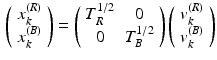 $$\begin{aligned} \left( \begin{array}{c} x_k^{(R)} \\ x_k^{(B)} \end{array} \right) = \left( \begin{array}{cc} T_R^{1/2} &{} 0 \\ 0 &{} T_B^{1/2} \end{array} \right) \left( \begin{array}{c} v_k^{(R)} \\ v_k^{(B)} \end{array} \right) \end{aligned}$$