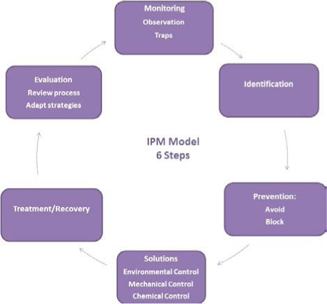 FIGURE 6E.2 THE SIX STAGES OF AN INTEGRATED PEST MANAGEMENT (IPM) PROGRAM ARE CYCLICAL. CREATED BY GRETCHEN ANDERSON.