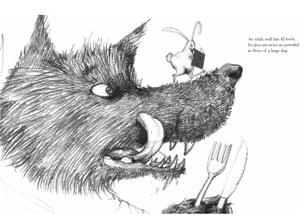 Figure 10.3 Wolves: ‘An adult wolf has 42 teeth.’