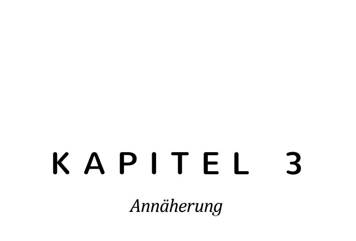 %c3%9cberschriften_0000s_0029_-Kapitel-3-Ann%c3%a4herung.png