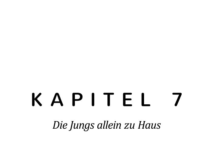 %c3%9cberschriften_0000s_0025_-Kapitel-7-Die-Jungs-allein-zu-Haus.png