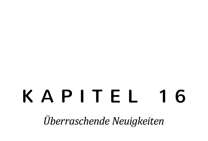 %c3%9cberschriften_0000s_0016_-Kapitel-16-%c3%9cberraschende-Neuigkeiten.png