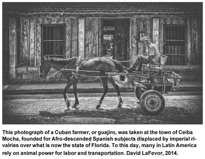 This photograph of a Cuban farmer, or guajiro, was taken at the town of Ceiba Mocha, founded for Afro-descended Spanish subjects displaced by imperial rivalries over what is now the state of Florida. To this day, many in Latin America rely on animal power for labor and transportation. David LaFevor, 2014.