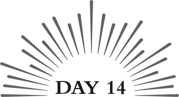 Day 14