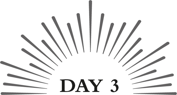 Day 3