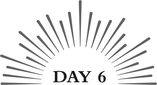 Day 6