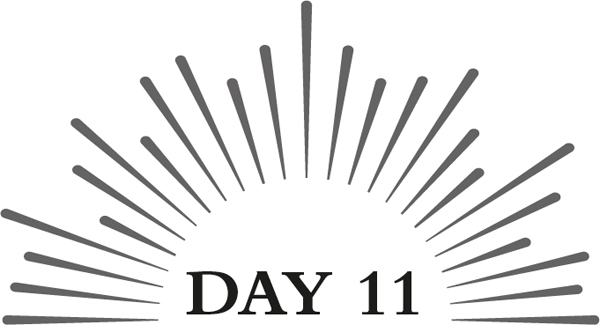 Day 11