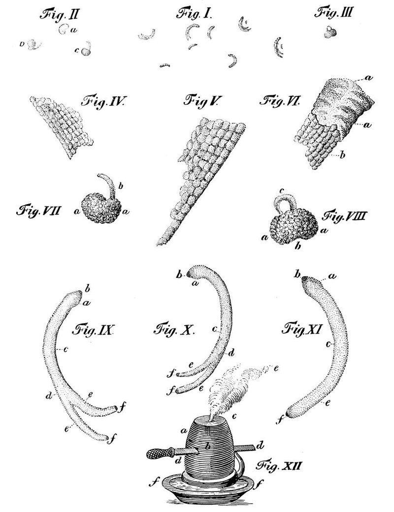 devices somewhat generally employed for the eradication of dental worms