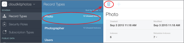 Screenshot of Cloudkit dashboard with Photo option encircled and an arrow pointing to the trash icon on the top of the Photo tab.