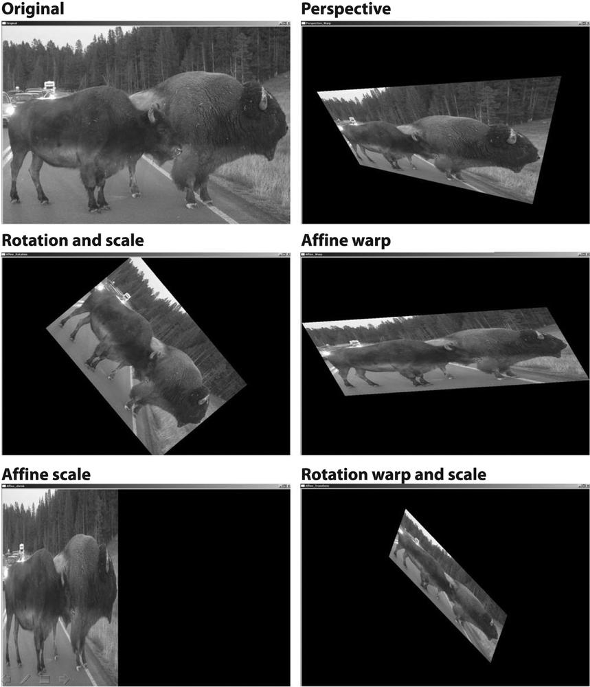 Perspective and affine mapping of an image