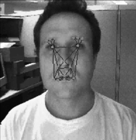 Delaunay points can be used in tracking objects; here, a face is tracked using points that are significant in expressions so that emotions may be detected