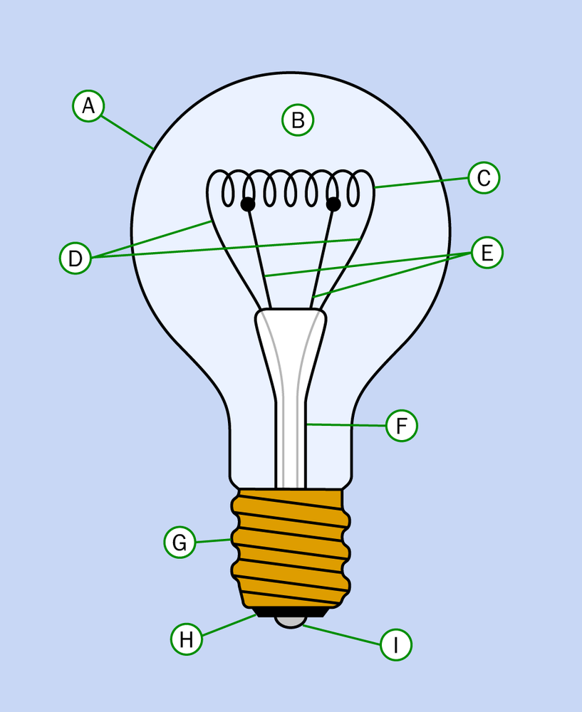 The parts of a typical incandescent lamp (see text for details).