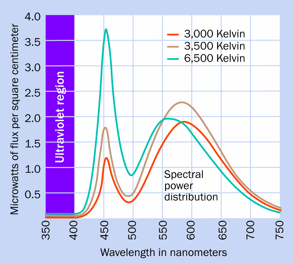 Spectral power distribution curves for three high-brightness white LED lamps showing no ultraviolet emissions. (Adapted from a graph in a white paper published by Color Kinetics Incorporated.)