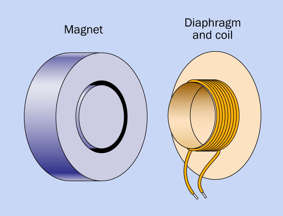 The basic elements of a moving-coil headphone.