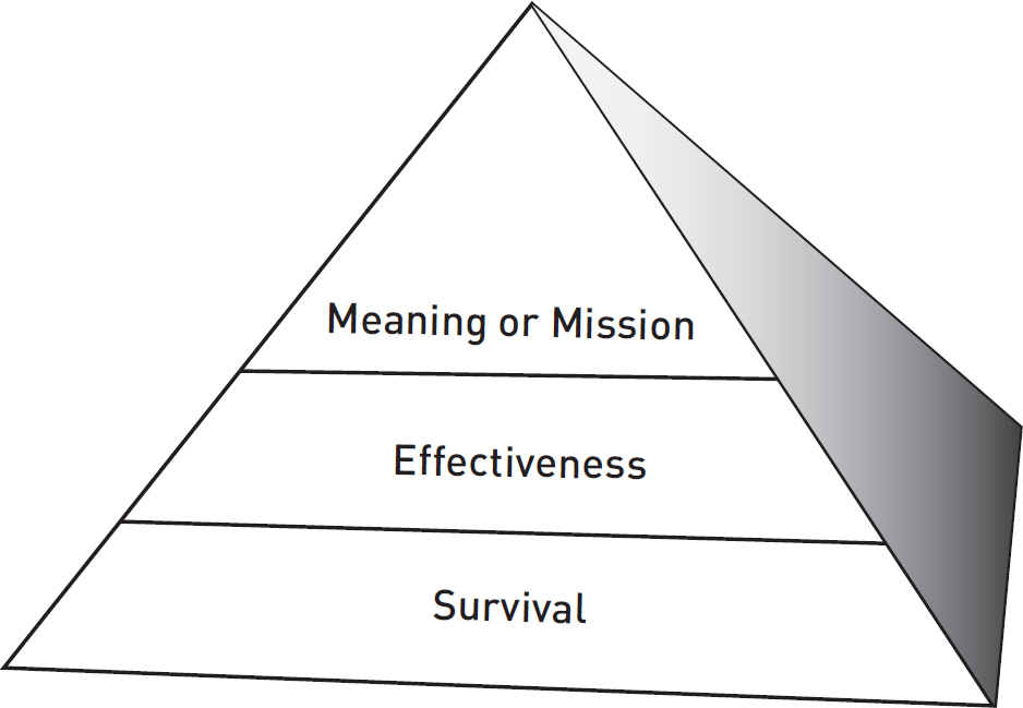 Meaning or Mission